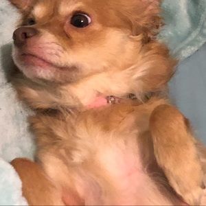 Meet your Posher, Courtney